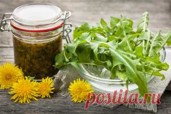 Варенье из одуванчиков: как приготовить и чем полезно Приготовь варенье из одуванчиков: два рецепта на выбор Варенье из одуванчиков: простой и сложный рецепты Варенье из одуванчиков – это вкусное янтарное лакомство, а кроме того, еще и необыкновенно полезное! Как готовиться варенье из одуванчиков, польза и вред этого продукта для организма – в...