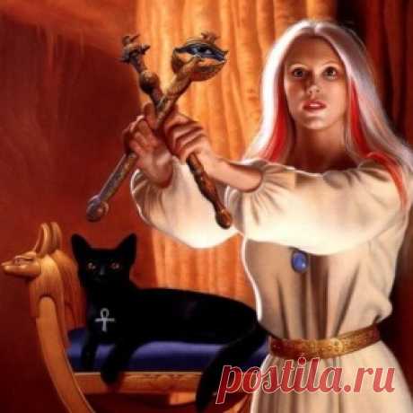 Веселые картинки)) - МирТесен