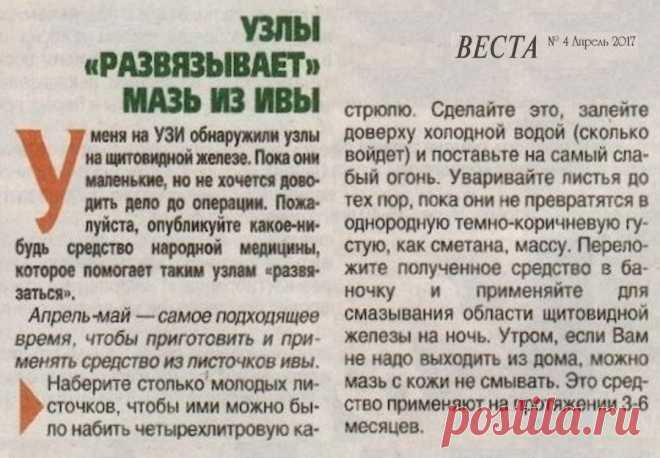 Узлы на щитовидной железе "развязывает" мазь из ивы