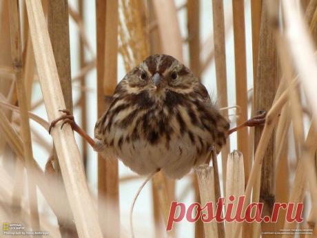 Живая природа