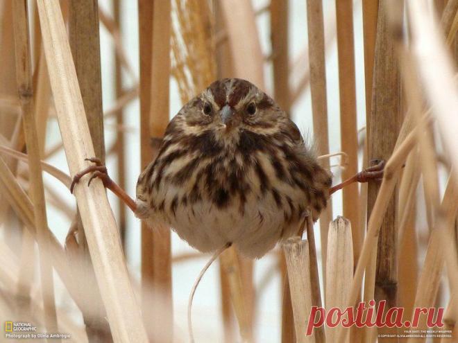 Живая природа