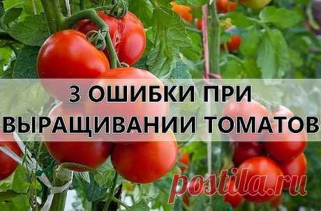 (13) Одноклассники