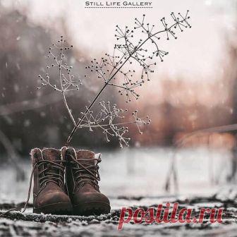 ⠀
★ Photo by: @milla_rice
⠀
Congratulations!
⠀
➙  Follow us @still_life_gallery_
➙  To be featured, please tag:
⠀⠀#still_life_gallery or #stilllifegallery
⠀
➙  Selected by: 🍒 @agusmascitti
__________________________________________
⠀
#slg__milla_rice
⠀
#theartofslowliving#infinity_red#ig_serenity#mystory_shots#shabbychicstyle#snap_ish#onthetable#stilllifephotos#rsa_ladies#coffeeandseasons#bewitched_flowers#naughtyteas#seekthesimplicity#vscofood#perfectturk_shot#littlebits...