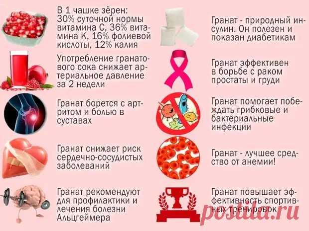 (14) Напиток Гиппократа – лекарство от 100 болезней. - Познавательный сайт ,,1000 мелочей