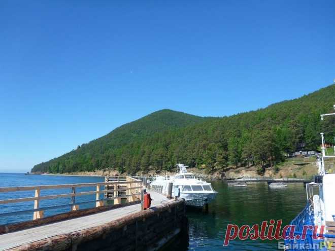 Большие коты фото — Байкал