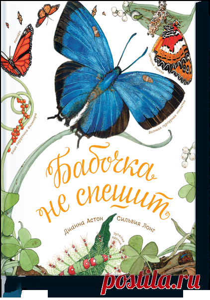 Бабочка не спешит (Дианна Астон) — МИФ