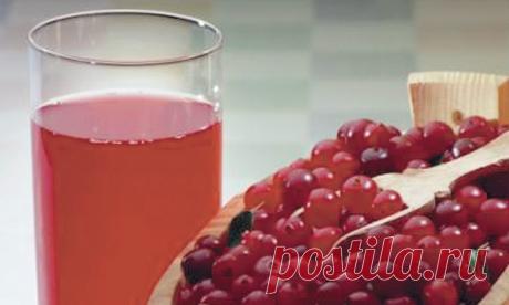 Напитки из брусники - чай , сок , брусничная вода,отвары | Зеленый друг