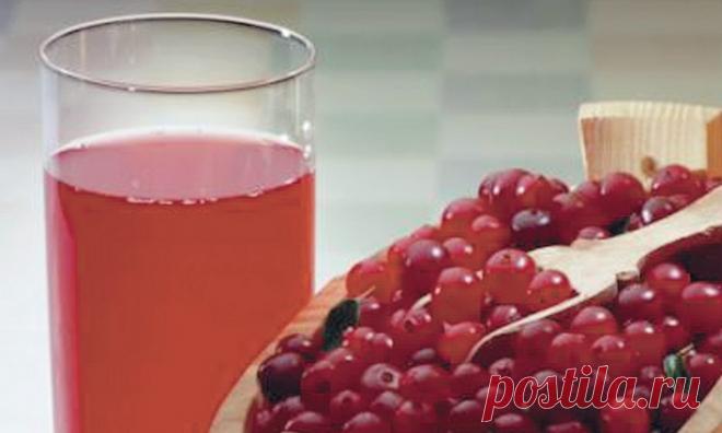 Напитки из брусники - чай , сок , брусничная вода,отвары | Зеленый друг