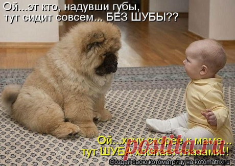 Муркотушки! - bravo-bravissimo 2 - Группы Мой Мир