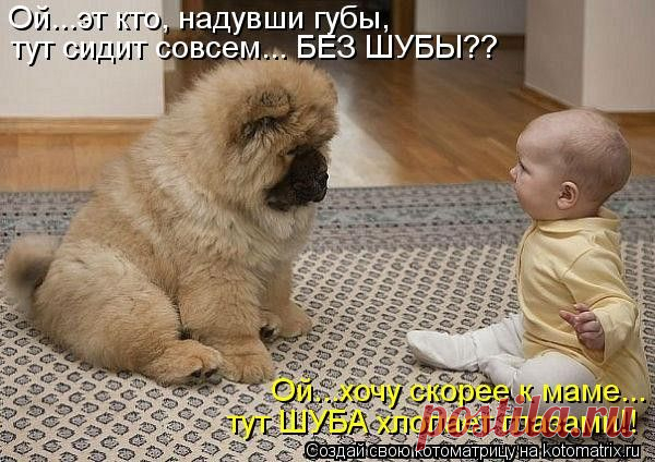 Муркотушки! - bravo-bravissimo 2 - Группы Мой Мир