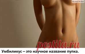 ИНТЕРЕСНЫЕ ФАКТЫ О ЧЕЛОВЕКЕ.
