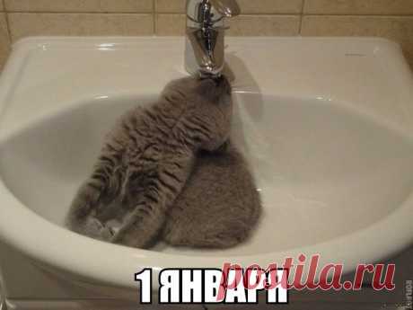 Мой Мир@Mail.Ru