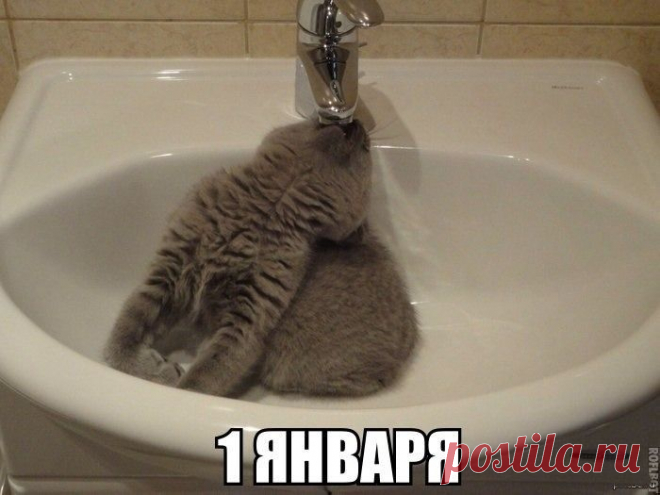 Мой Мир@Mail.Ru