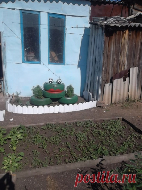 лягушка в огороде
