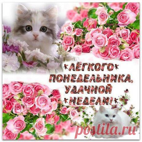 Любимая жена: Если чужая женщина кажется вам лучше своей – жизнерадостней, лучезарней, заботливей и красивей, то знайте, что ей просто повезло с мужчиной, не то, что вашей...