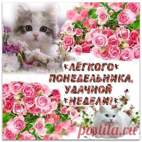 Любимая жена: Если чужая женщина кажется вам лучше своей – жизнерадостней, лучезарней, заботливей и красивей, то знайте, что ей просто повезло с мужчиной, не то, что вашей...