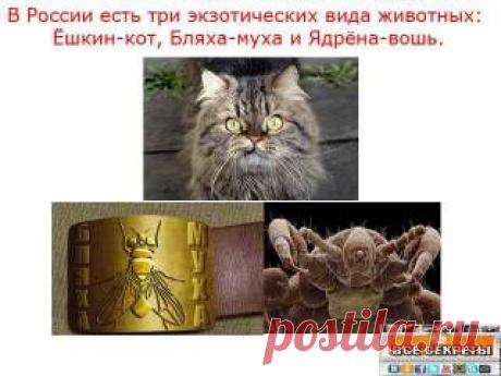 КЛАВИАТУРНЫЕ СОКРАЩЕНИЯ - 29 Апреля 2014 - Все секреты социальных сетей-Одноклассники,ВКонтакте,