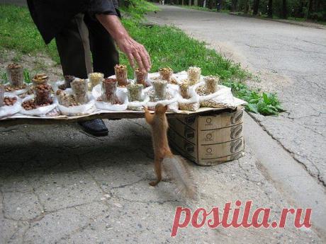 (24) Одноклассники