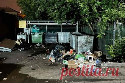 Двор в российском городе атаковали полчища крыс. В одном из дворов в Тюмени завелась стая крыс. Полчища опасных грызунов, бегающих по детской площадке и у мусорных баков, засняли на видео жители российского города. На ролике показаны крупные крысы на придомовой территории в районе пересечения улиц Кирова, 23 и 25, Володарского, 14, Челюскинцев, 28 и 30.