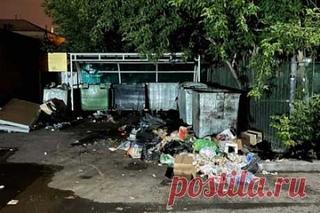 Двор в российском городе атаковали полчища крыс. В одном из дворов в Тюмени завелась стая крыс. Полчища опасных грызунов, бегающих по детской площадке и у мусорных баков, засняли на видео жители российского города. На ролике показаны крупные крысы на придомовой территории в районе пересечения улиц Кирова, 23 и 25, Володарского, 14, Челюскинцев, 28 и 30.