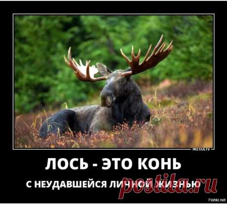 Как говорила бабушка:"Если мужа плохо кормить-он похудеет и с него начнут спадать трусы...Причем не дома😜(анекдоты) | Все про звезды и много смеха!!! | Яндекс Дзен