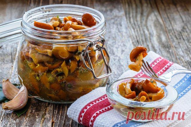 Опята на зиму: 9 лучших, простых и очень вкусных рецептов приготовления - Моя дача