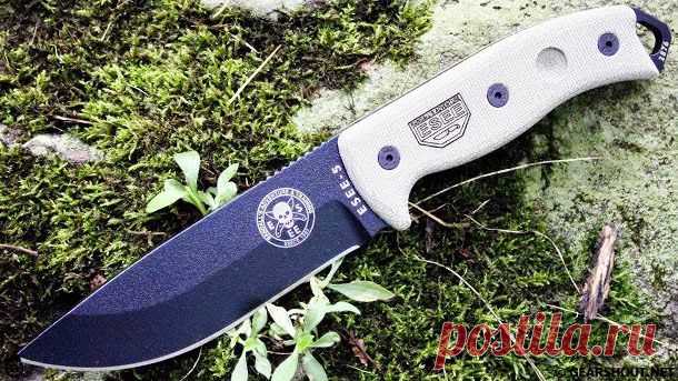 Survival-knives-photo-1.jpg (610×343)