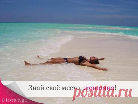 (4) Страницы