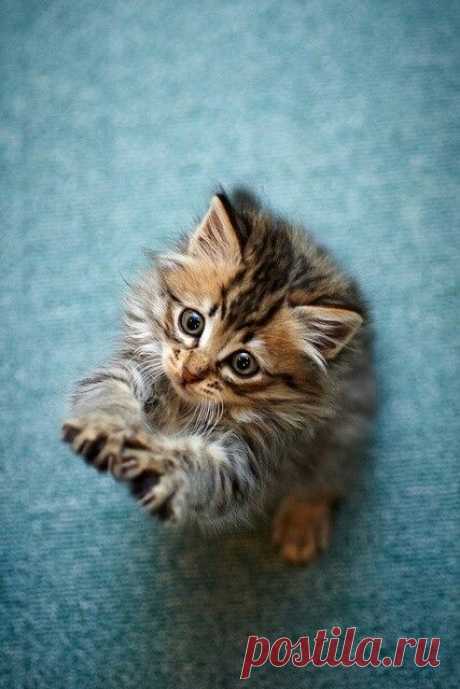 May I have anotha?