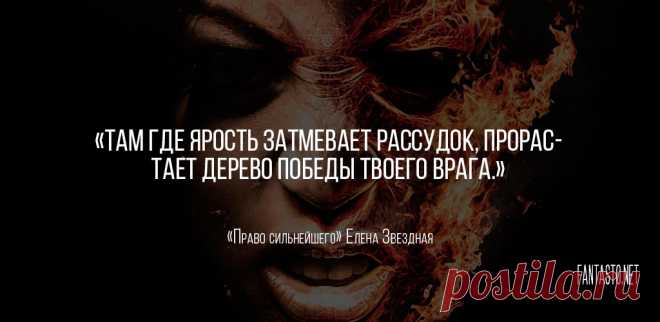 «Дочь воина, или кадеты не сдаются» - Елена Звездная #Цитаты