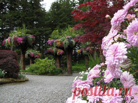 Ботанический сад Glacier Gardens, Juneau, Alaska