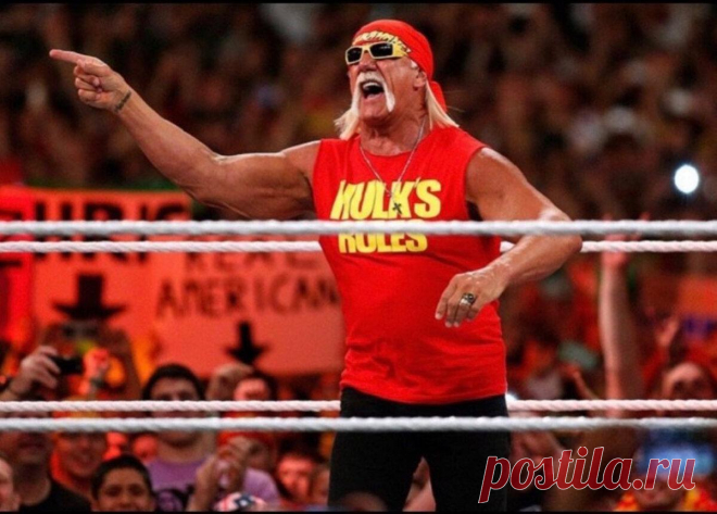 Халк Хоган — самый узнаваемый рестлер в истории спустя 30 лет. Показываю как сейчас он выглядит и чем занимается
В 90-х на телевидении было много спортивно-развлекательных телепередач, в то числе шоу-реслинг. Яркие, зрелищные бои мало кого оставляли равнодушными. В этой статье речь пойдет об одном из самых узнаваемых рестлеров всего мира — Халке Хогане (по версии новостного сайта lNG (lmagine...
Читай дальше на сайте. Жми подробнее ➡