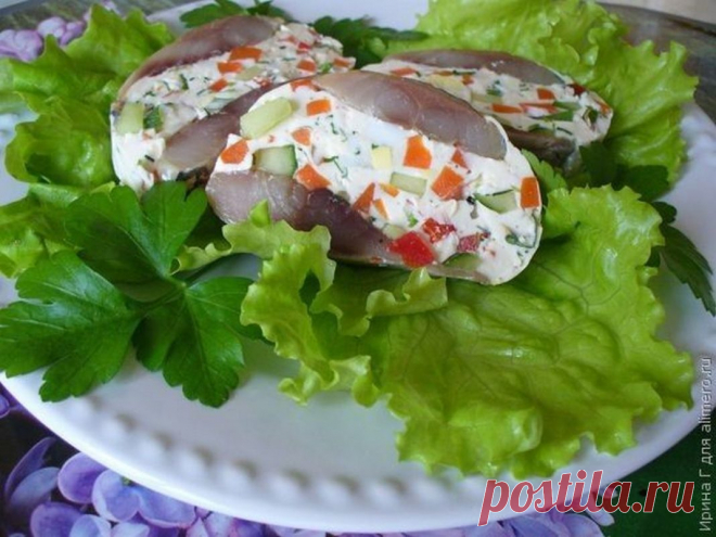 Закуска из селедки &laquo;Праздничная&raquo; | Выживи сам