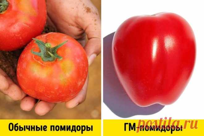 3 простых способа отличить ГМО от обычных продуктов | Всегда в форме!