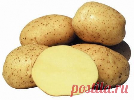 9 СОВЕТОВ ПО ВЫРАЩИВАНИЮ КАРТОФЕЛЯ