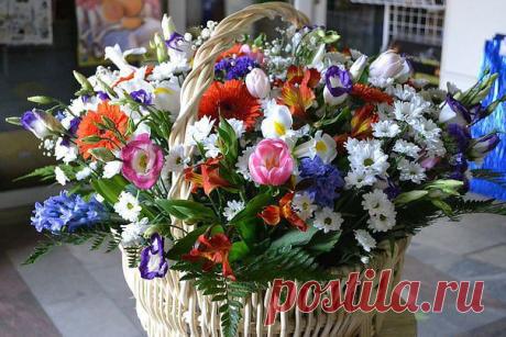 Красивые Цветы  Для Тебя