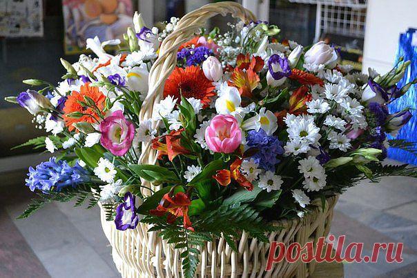 Красивые Цветы  Для Тебя