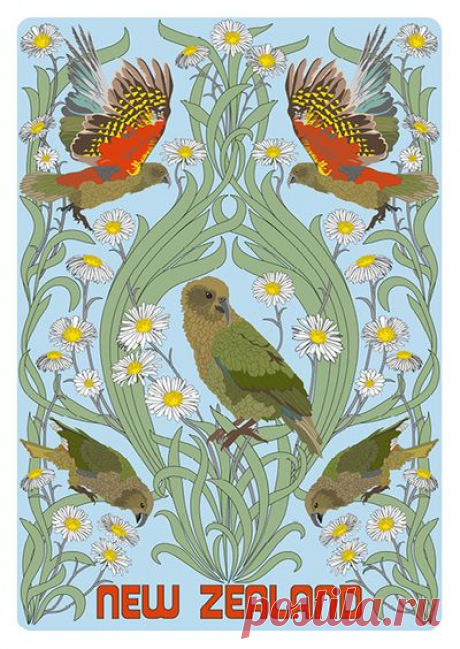 Ekara Postcard of New Zealand Kea By Iska Montero with code 0A3