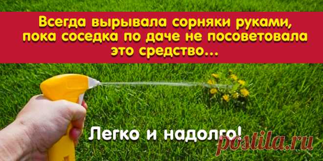 Всегда вырывала сорняки руками, пока соседка по даче не посоветовала это средство… Легко и надолго! | Полезные советы
