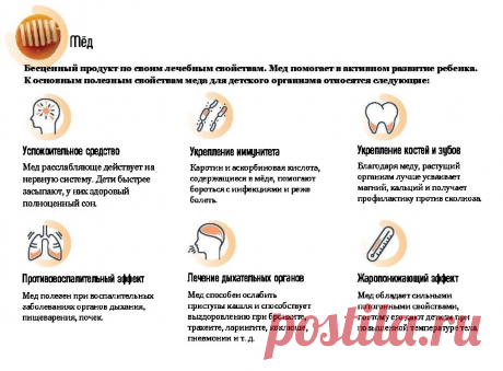 О пользе меда для детей