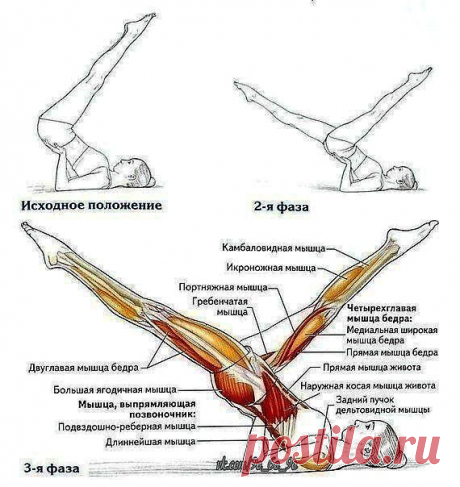 УБРАТЬ ЖИР С НИЗА ЖИВОТА - ОЧЕНЬ ПРОСТО!.