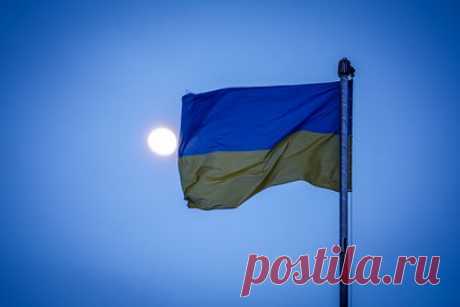 Во Франции заявили об изменении настроения в ГА ООН насчет Украины. Настроения в Генассамблее ООН насчет Украины и ее взгляда на «справедливый мир» за год изменились. Об этом пишет агентство France Press (FP), ссылаясь на источник. ГА ООН в 2023 году приняла подготовленную Западом антироссийскую резолюцию о «принципах, лежащих в основе всеобъемлющего, справедливого мира на Украине».