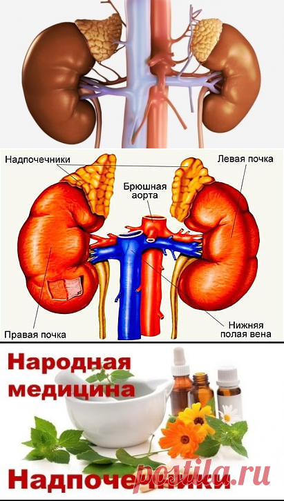 (7) Одноклассники