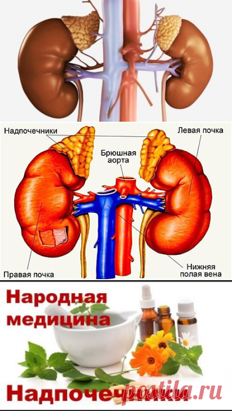 (7) Одноклассники