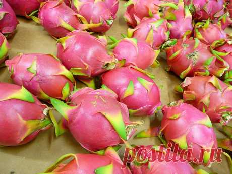19 Weird Fruits From Asia, Maybe You Have Never Heard Of | Pouted.com While taking a trip through greengrocer and supermarkets, we see a variety of fruits which has different shapes, benefits and tastes. These different