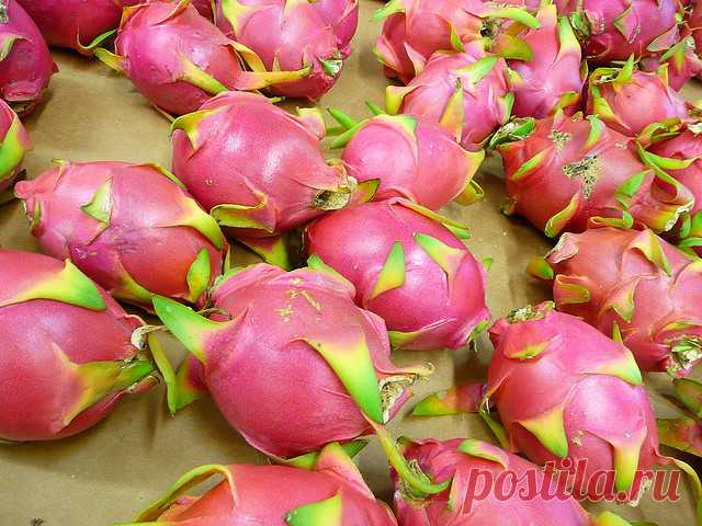 19 Weird Fruits From Asia, Maybe You Have Never Heard Of | Pouted.com While taking a trip through greengrocer and supermarkets, we see a variety of fruits which has different shapes, benefits and tastes. These different