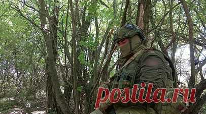 Бойцы штурмроты рассказали об освобождении Авдеевки и Бердычей — видео. Военкор RT Александр Пискунов пообщался с бойцами штурмроты 74-й бригады, которая обеспечивает левый фланг группировки, наступающей по направлению Очеретино — Прогресс в ДНР. Эти военные одними из первых заходили в Авдеевку, последними оттуда выходили. А затем освобождали Бердычи, где, по словам бойцов, противник держался из последних сил. Сейчас боевики ВСУ пытаются сдержать российское наступление, окапываясь вблизи…