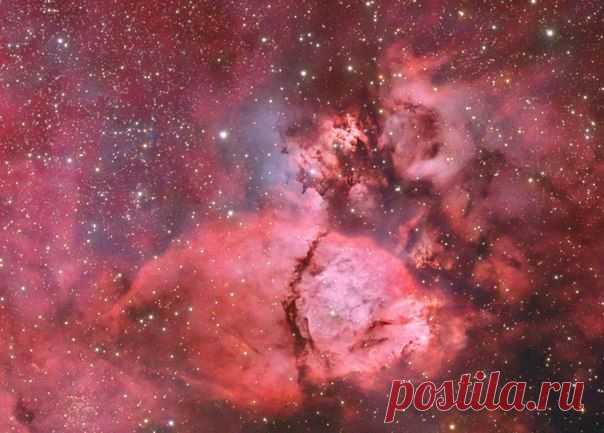 IC 1795: туманность Рыбья голова / Интересный космос