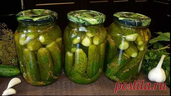 Маринованные огурцы с горчицей на зиму