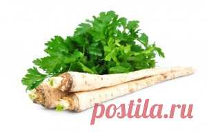 ЗДОРОВЬЕ | Записи в рубрике ЗДОРОВЬЕ | Дневник Belenaya